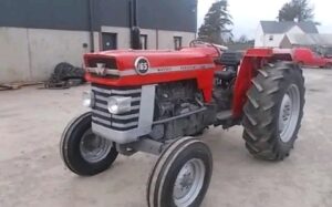 Read more about the article MASSEY FERGUSON 165